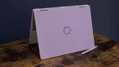 Framework Laptop 12