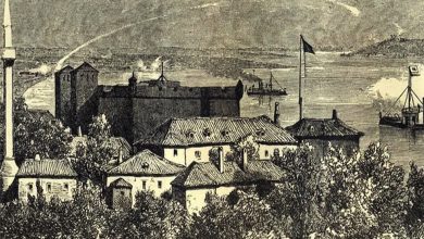 През 1871 г. Васил Левски пристига във Видин, за да създаде революционен комитет и да организира доставка на оръжие от Сърбия. С прикритие като чирак при майстор Никола Дюкмеджията, той вербува съмишленици и изгражда канал за оръжие, скрито в бакърджийска стока. Левски смело посещава крепостта Баба Вида под носа на турската власт и нощува в тайни скривалища. По време на второто си идване действа под прикритието на търговец на добитък в с. Брегово. При засилен турски надзор е преместен в скривалище, а след това бяга през блатата и Дунава в Румъния с помощта на лодкари. Разказът показва смелостта на Апостола и неговите сподвижници от Бдинския санджак.