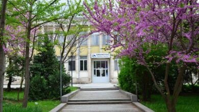Регионалната библиотека „Партений Павлович“ в Силистра ще издава безплатни читателски карти