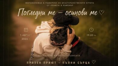 Фотоизложбата „Погледни ме - осинови ме" представя историите на кучетата от приюта в Каменар