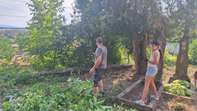 Доброволци и деца преобразиха двор на стара църква край Велико Търново