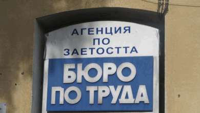 Трудова борса в Перник събра 168 търсещи работа и 12 работодатели