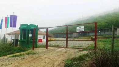 Общинският приют за бездомни кучета празнува рожден ден с празник на Света гора