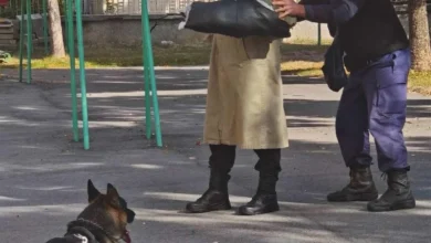 Четириногите Ирко и Айрън гостуваха на децата от детска градина "Първи юни" в Кюстендил