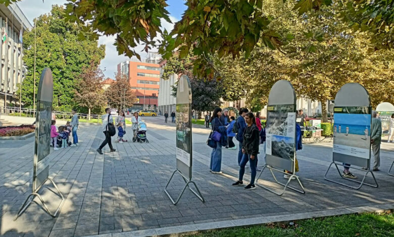 Националната изложба „Поправи Земята“ в Плевен - фотографски поглед към екологичните предизвикателства