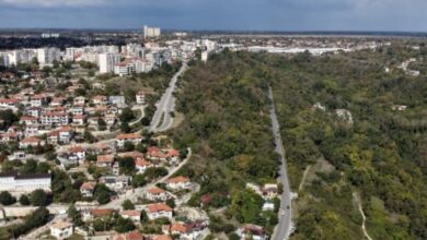 Изоставена горска площ в Балчик ще бъде превърната в екологичен парк по проект с Констанца